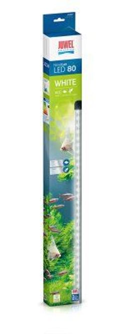 Hovedbilde JUWEL NOVOLUX 80 LED HVIT