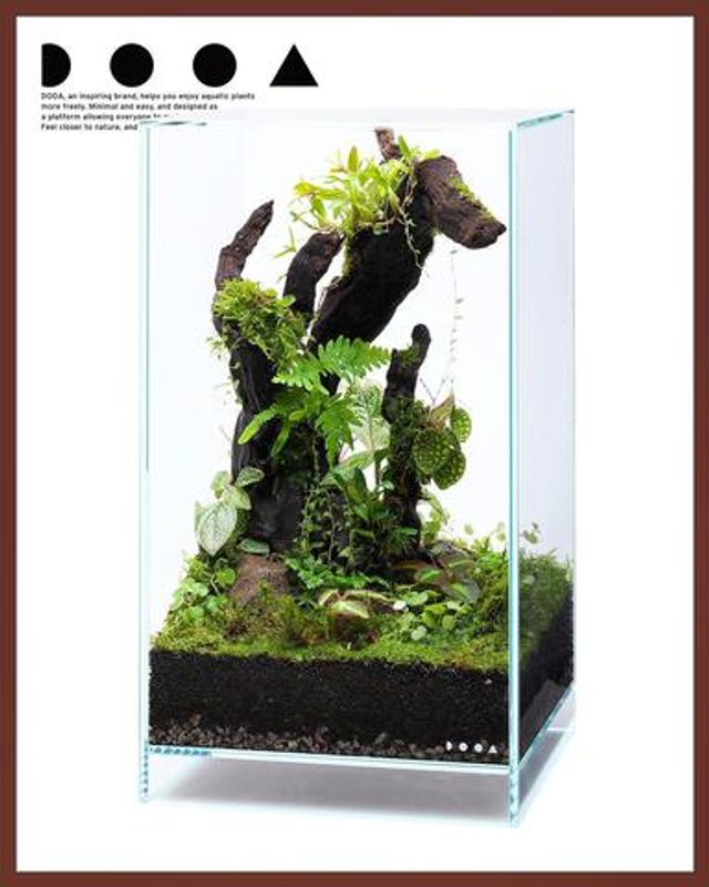 DOOA NEO GLASS AIR W20XD20XH30CM