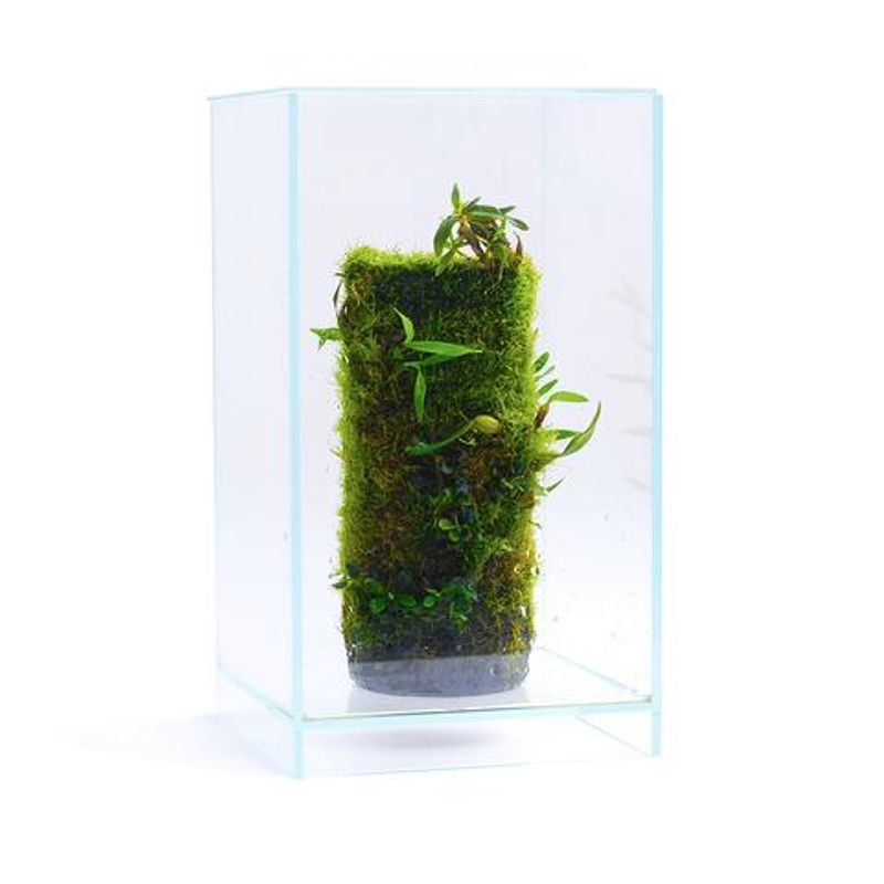 DOOA NEO GLASS AIR W20XD20XH30CM