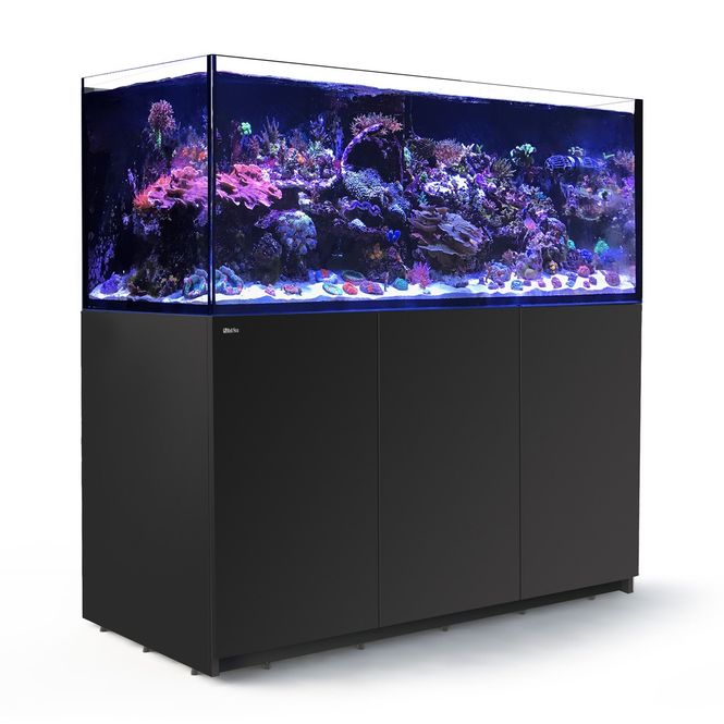Hovedbilde Red Sea Reefer 625 XXL V3