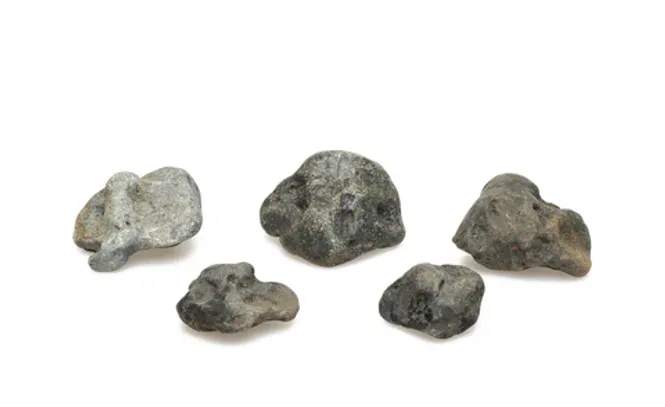 Hovedbilde ADA  JAGURE STONE 8 kg  