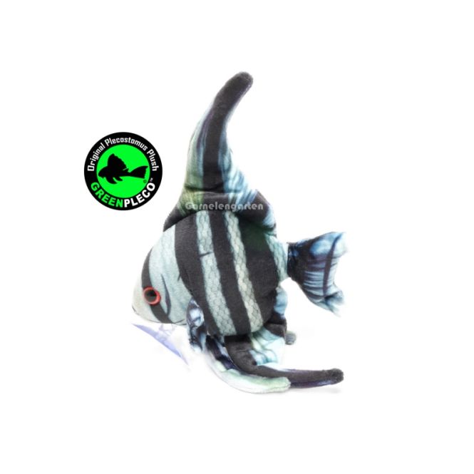 Hovedbilde GreenPleco - Angel Blue Zebra Plushie