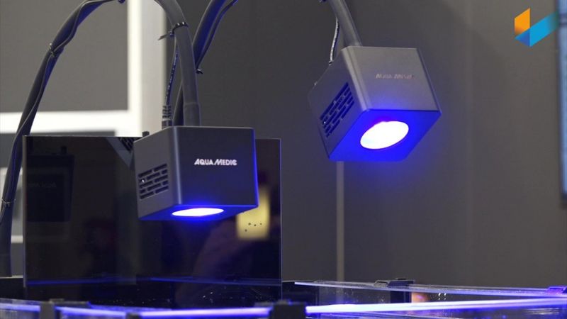 QUBE 50 LED-SPOT