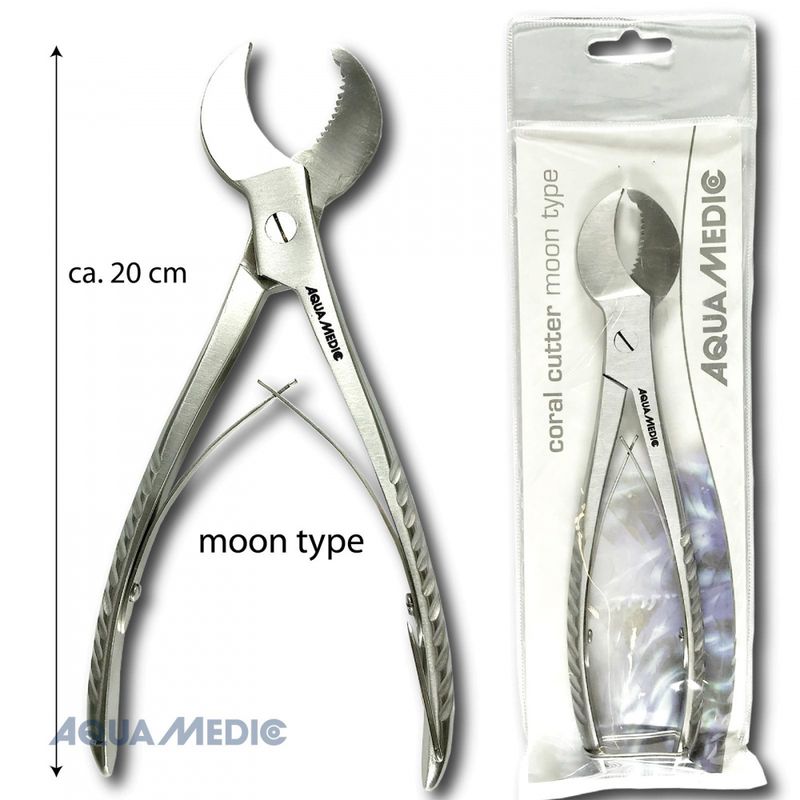 coral cutter moon type
