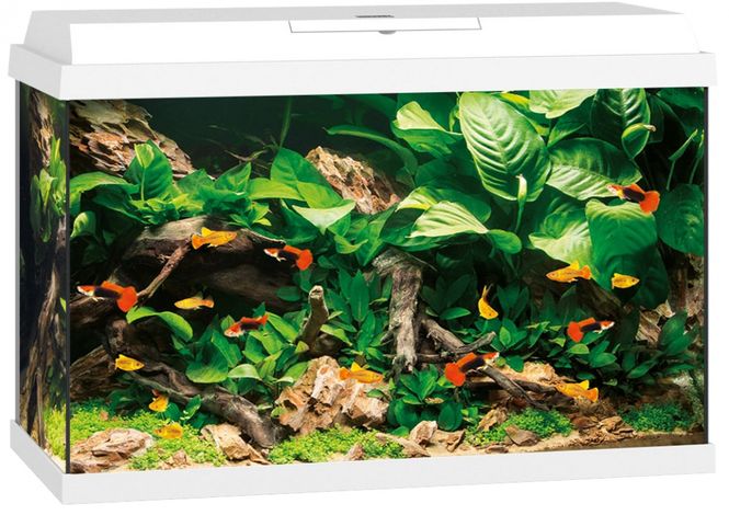 Hovedbilde Primo 70 LED Hvit