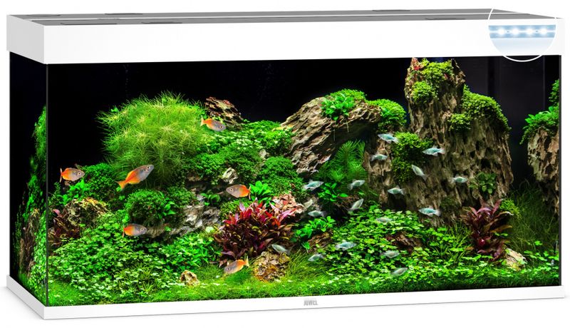 Rio 350 LED Hvit