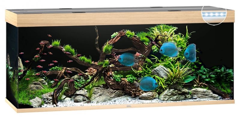 Rio 450 LED Eik