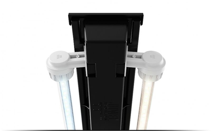Vision 180 LED Eik