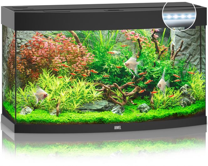 Hovedbilde Vision 180 LED Sort