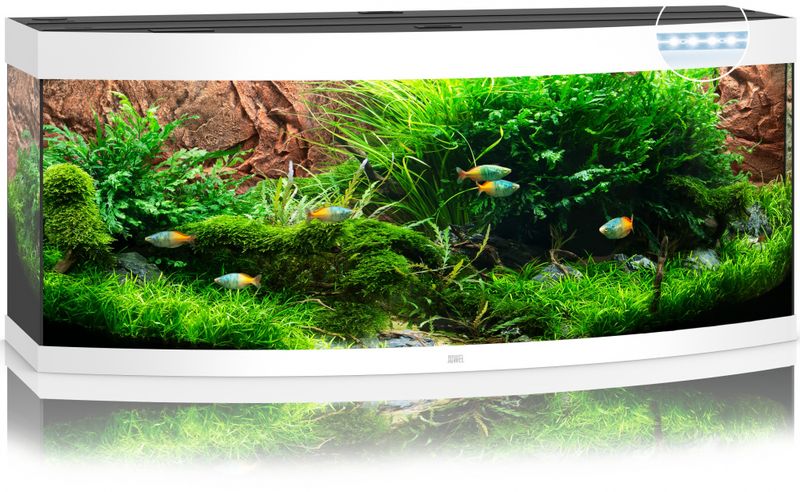Vision 450 LED Hvit