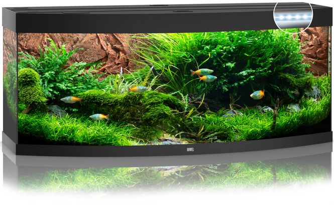 Hovedbilde Vision 450 LED Sort