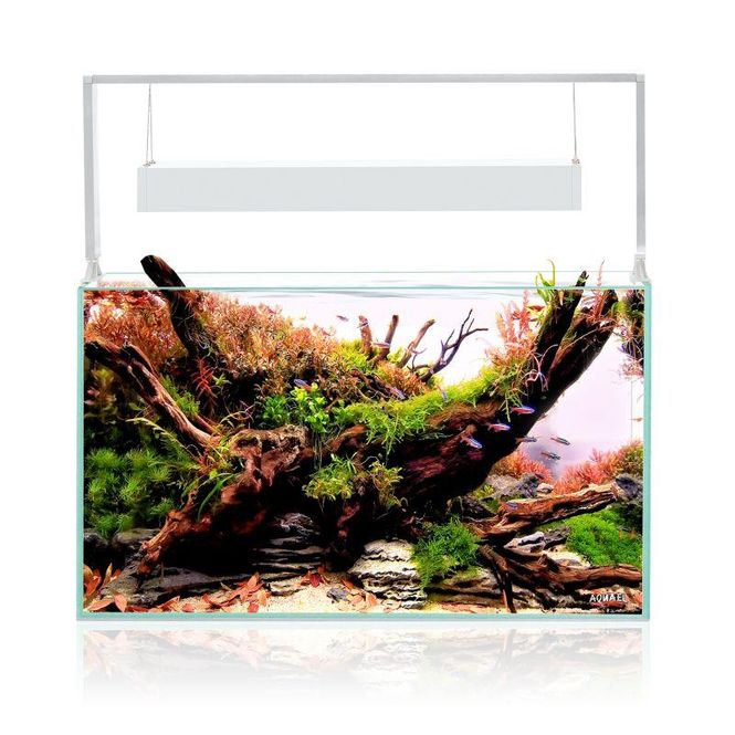 Hovedbilde Aquael Ultrascape Snow Hvit 64L