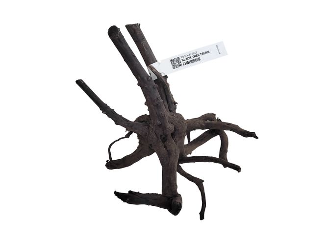 Hovedbilde Wio Black Tree Trunk Wood XSmall 15-25cm
