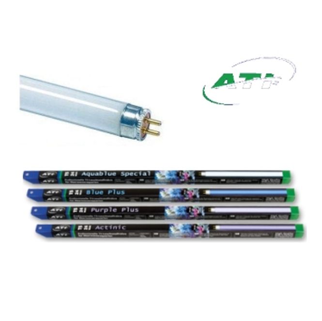 Hovedbilde Aquablue Special (24