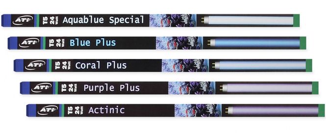 Hovedbilde Aquablue Special (24