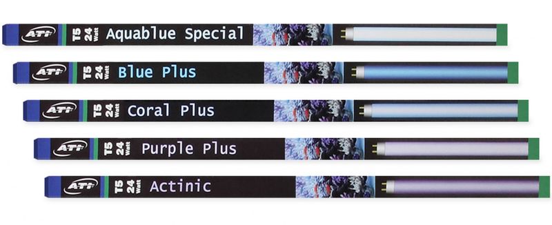 Aquablue Special (24