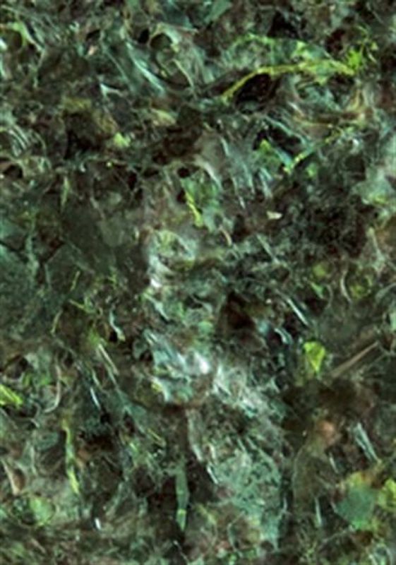 GREEN MARINE ALGAE SEAWEED 12GR
