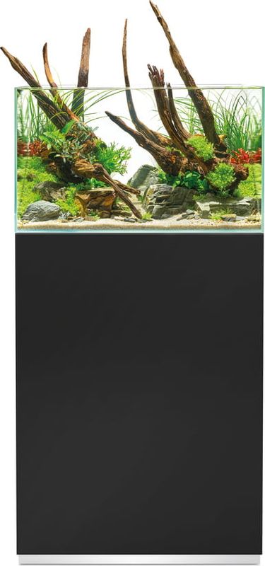 Oase ScaperLine 60 Black  set