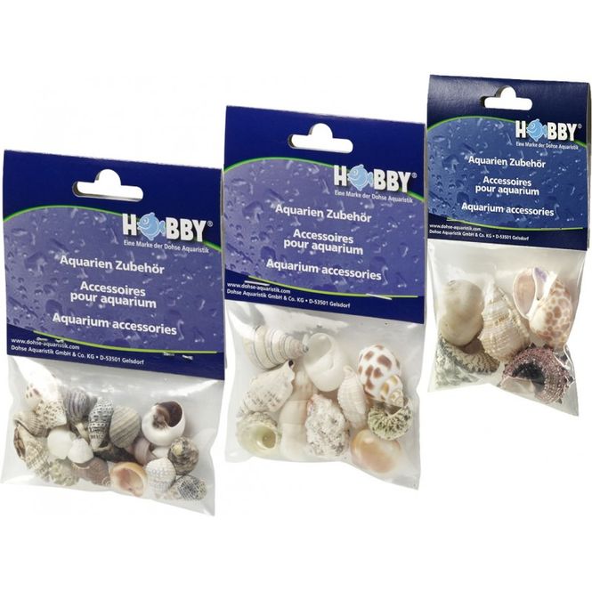 Hovedbilde Hobby  Seashell Set Medium 10 pk