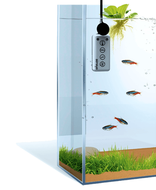 Hovedbilde Seneye HOME - Freshwater