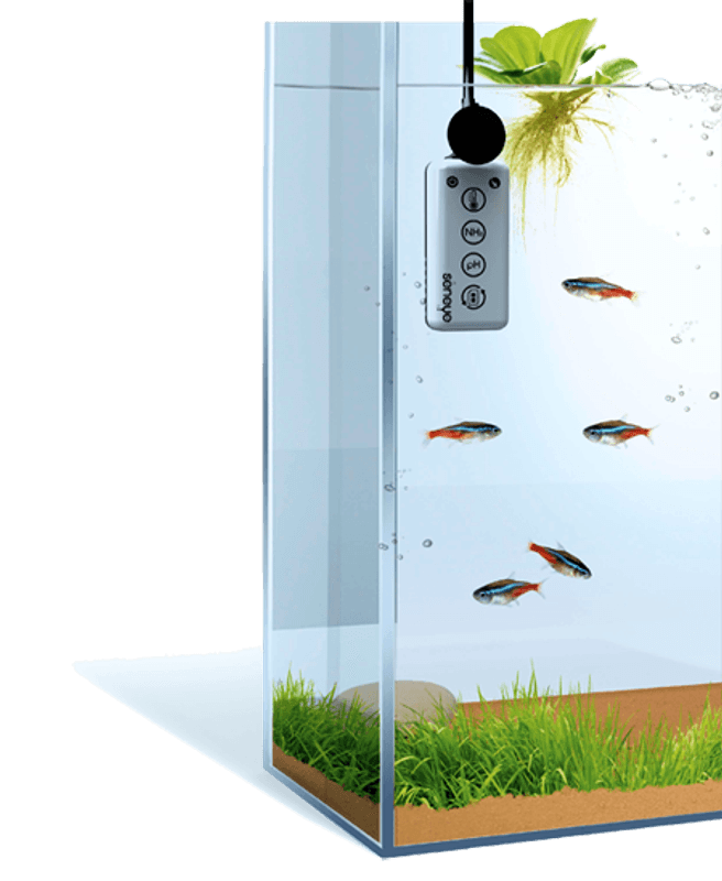 Seneye HOME - Freshwater