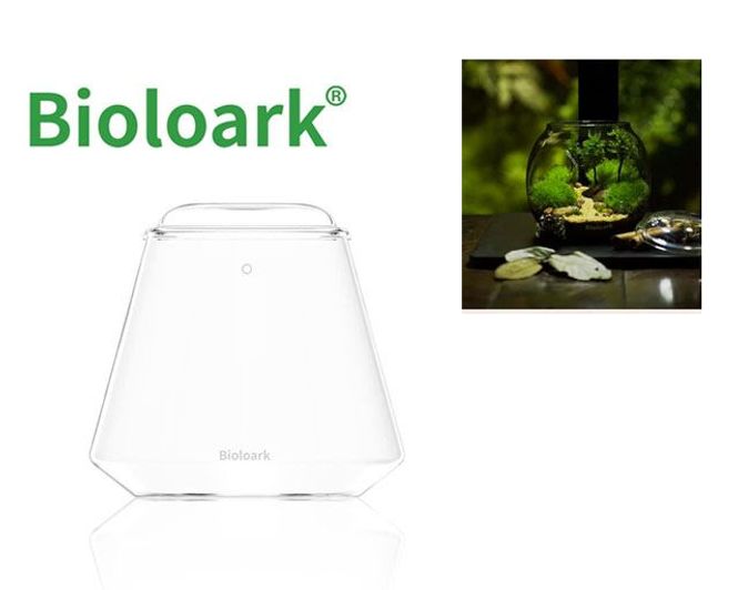 Hovedbilde Bioloark Bubble Cup TWO Wabi-Kusa glass