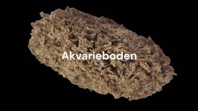 Hovedbilde Bolsa de Pastor Halvt Skall 