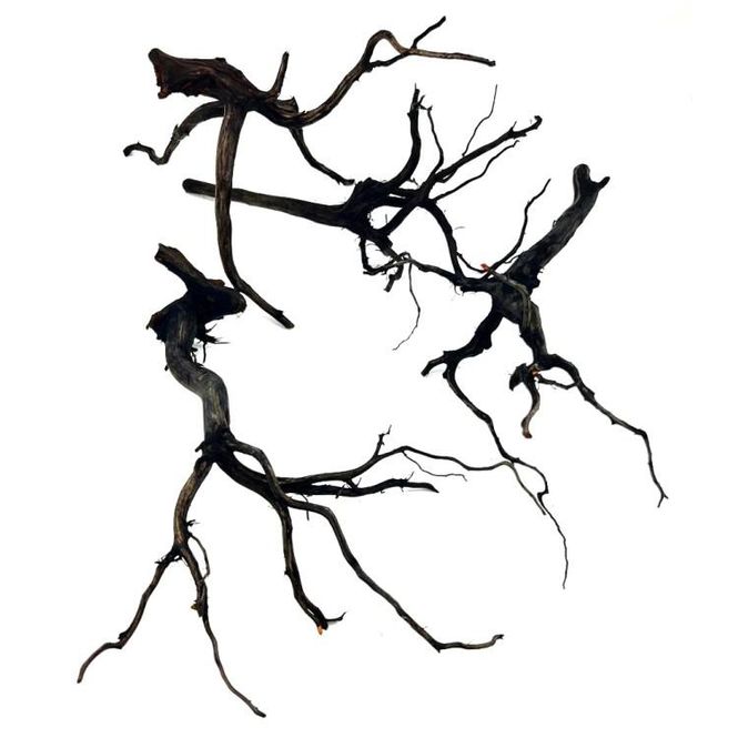 Hovedbilde RASAMALA BLACK XXL