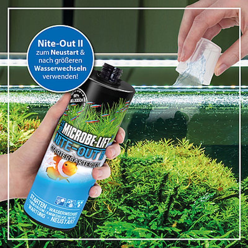 Nite-Out II  Starter Bacteria (473ml.)