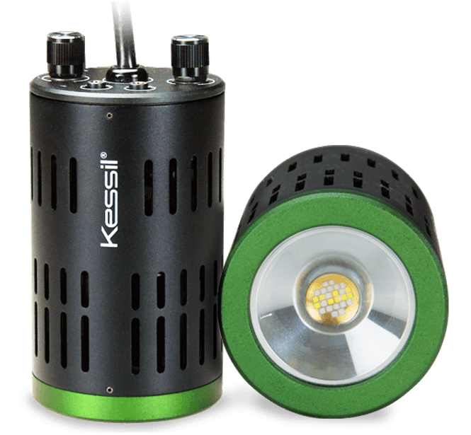 Hovedbilde LED A160WE Tuna Sun