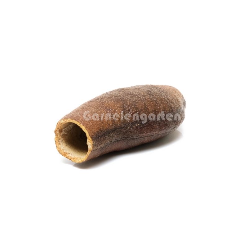 Coubaril pod