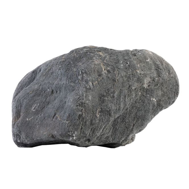 Hovedbilde Wild Rhino stone