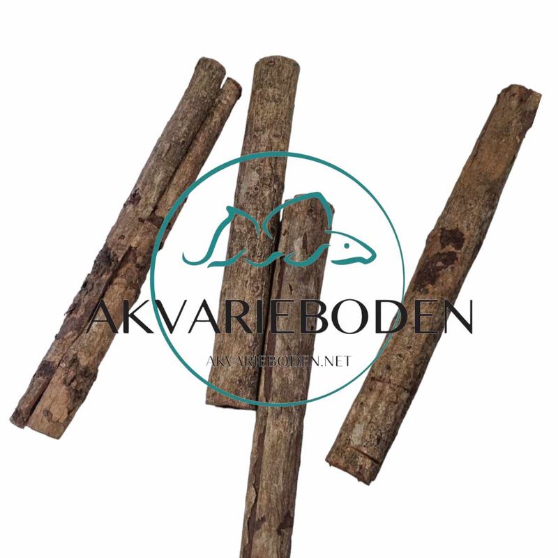 Catappa Bark XL 1stk 