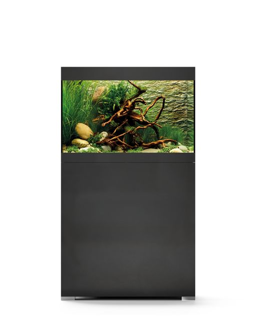 Hovedbilde Oase StyleLine 175 sort akvarie sett