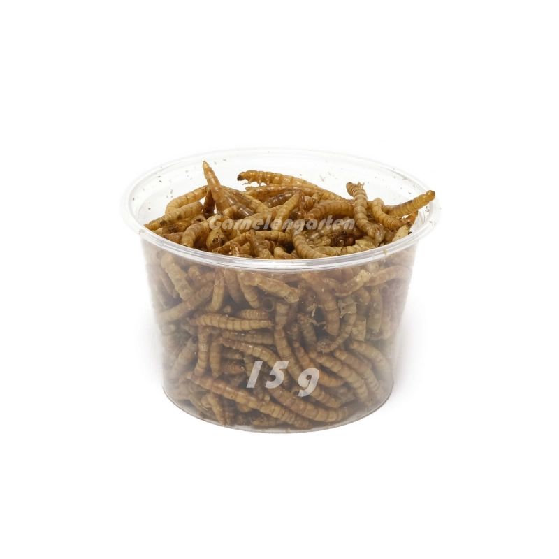 Tørkede Melormer 500ml