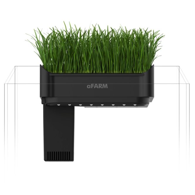 Hovedbilde Collar aFARM Aquaponics Kit