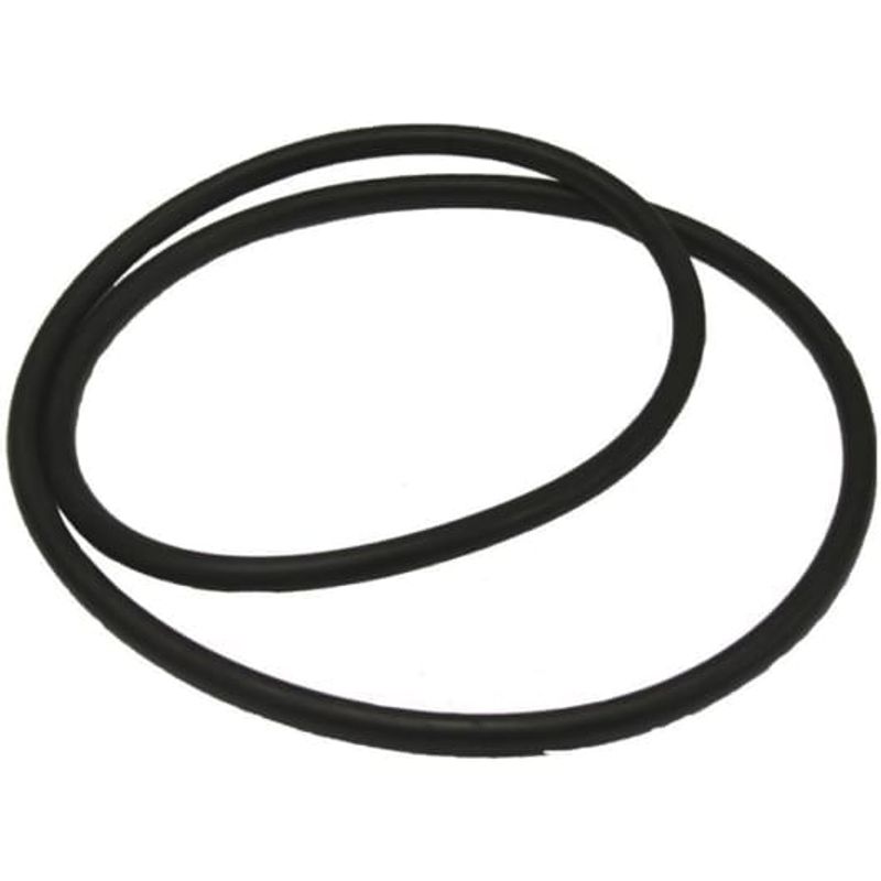 Oase Filtoclear O-Ring (77773)