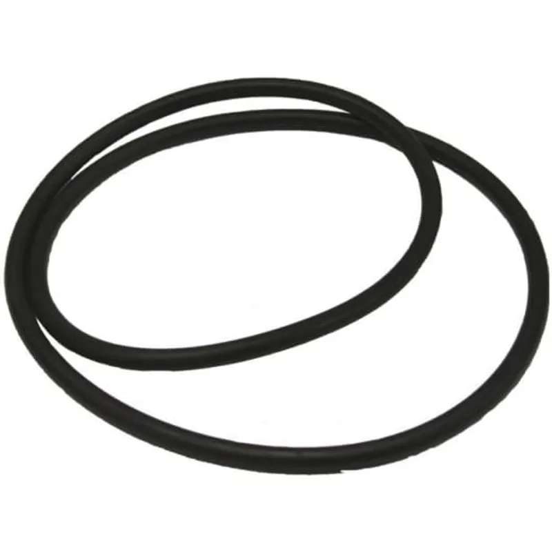 Oase Filtoclear O-Ring (77773)