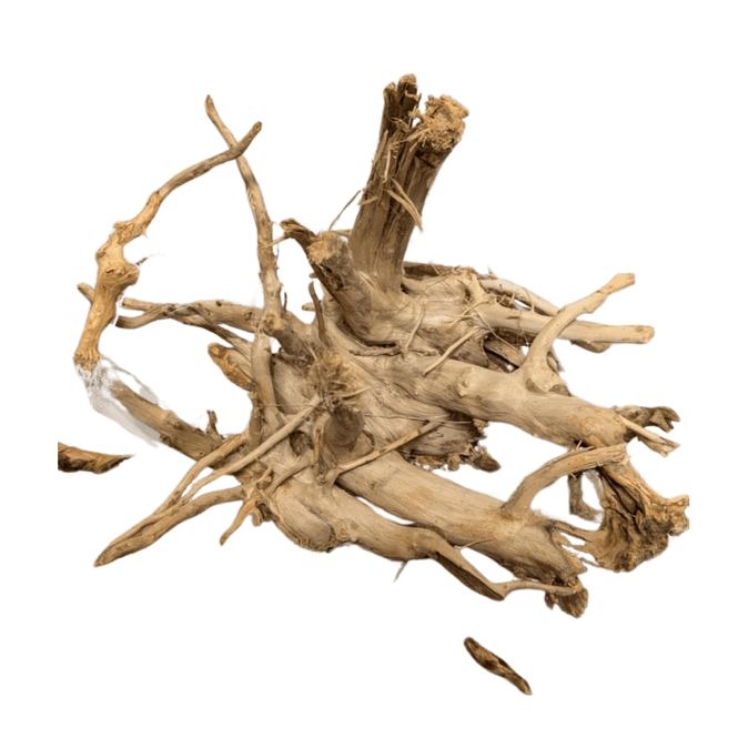 Hovedbilde Shinrin Yoku Wood Med 23 - 35cm