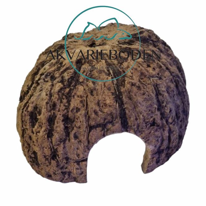Hovedbilde Brazil Nut Cave