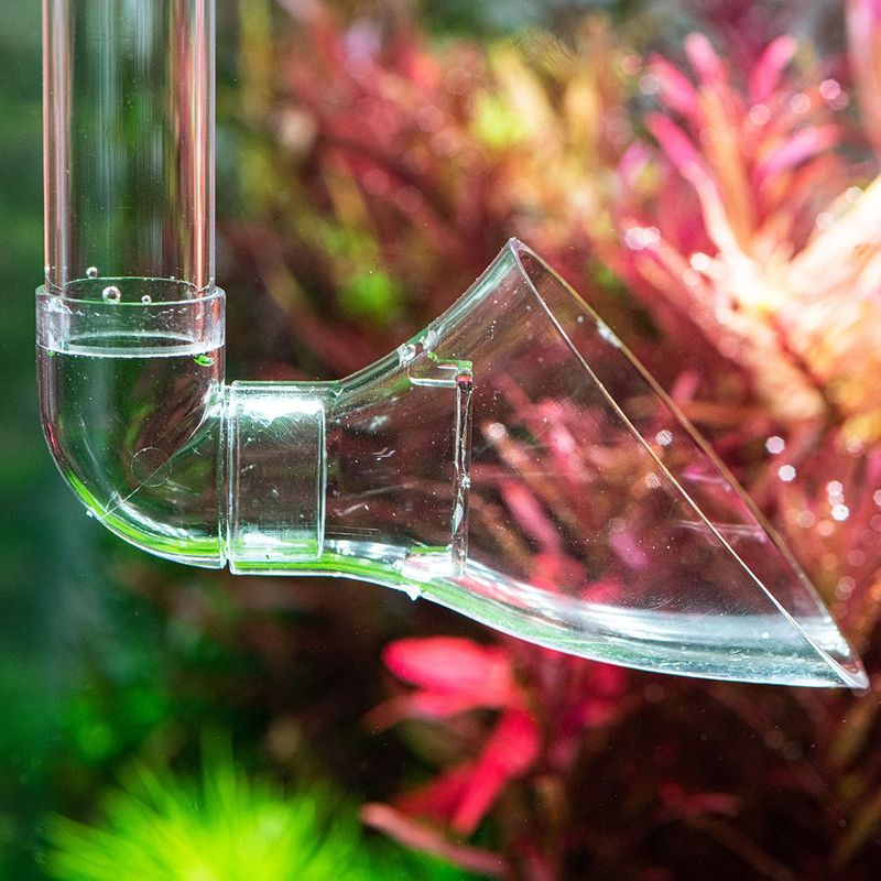 Aquario Neo Outlet L - Lily pipe
