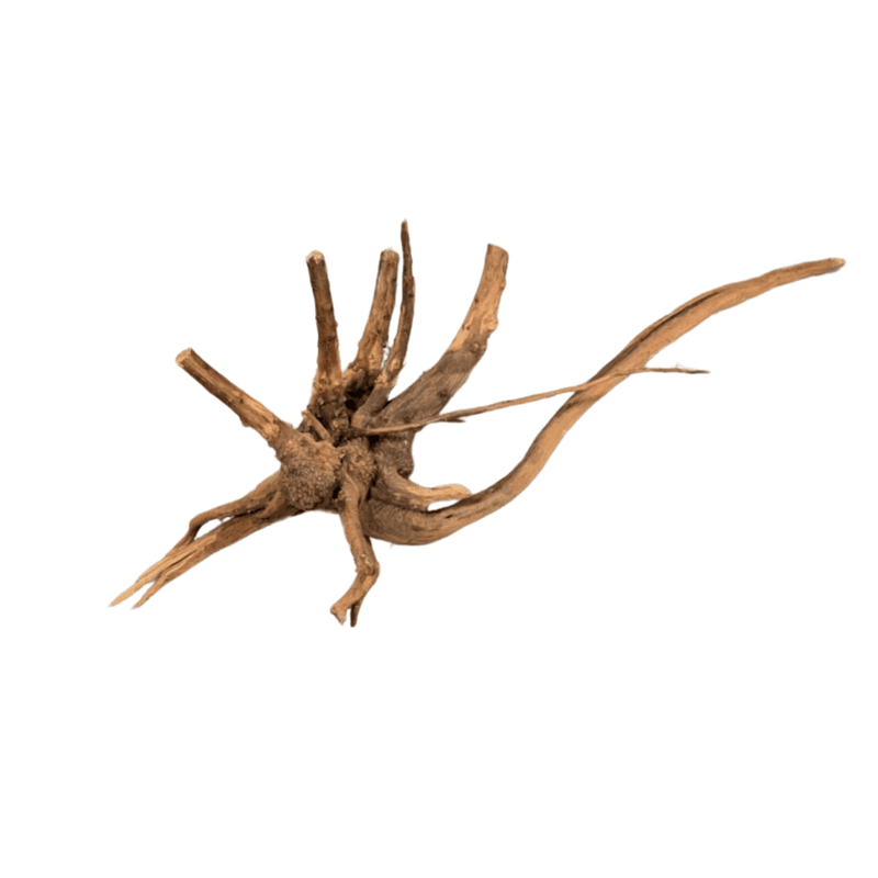 Slim Wood Medium 