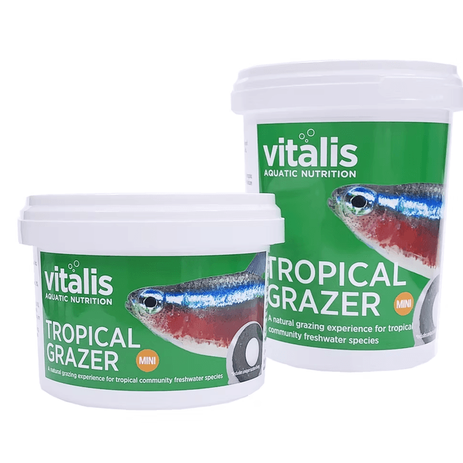 Hovedbilde Vitalis Tropical Grazer 240gr