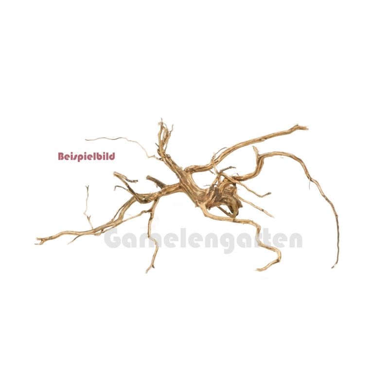 Dark Snake Wood Small